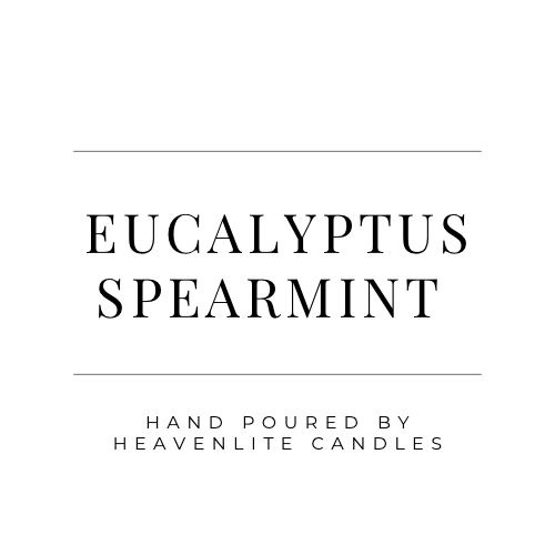 Eucalyptus Spearmint Car Diffusers